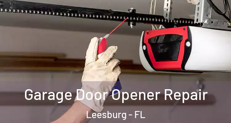  Garage Door Opener Repair Leesburg - FL